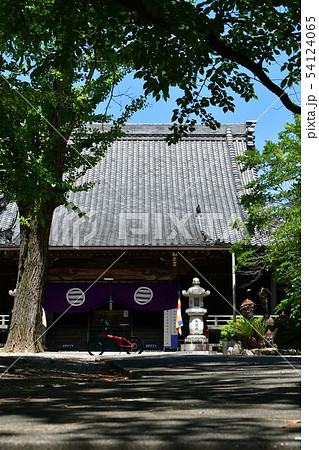 ハナショウブ　花しょうぶ　花菖蒲 54124065