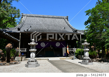 ハナショウブ　花しょうぶ　花菖蒲 54124073
