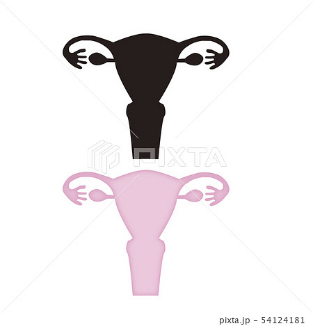 子宮と卵巣のイラスト素材