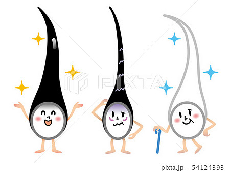 毛髪　3タイプ　イラスト 54124393