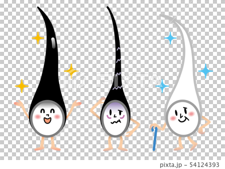 毛髪　3タイプ　イラスト 54124393