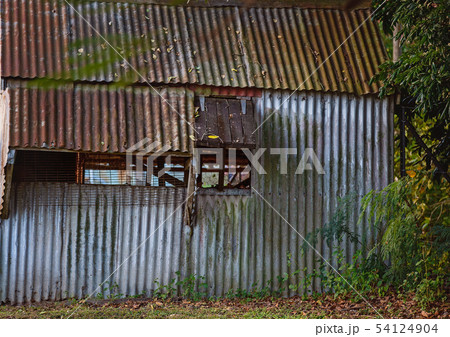 Dilapidated Old Country Storage Shack 54124904