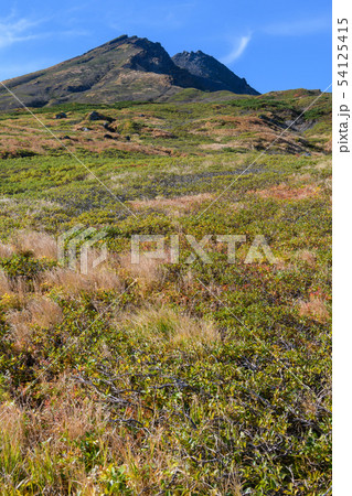 康新道から見た初秋の鳥海山 54125415