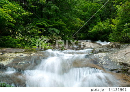 渓流 54125961