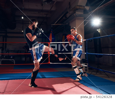 Boxers training kickboxing in the ring at the health club 54126328
