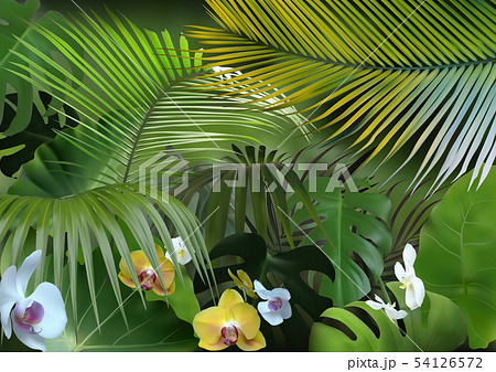 Tropical Background with Photorealistic Vegetation 54126572