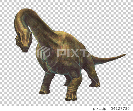 最も欲しかった ブラキオサウルス イラスト イラスト画像