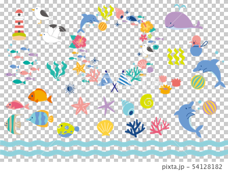 海の仲間たち 54128182