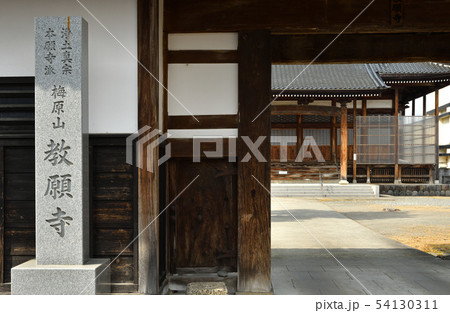 越前大野散歩:教願寺 浄土真宗本願寺派 越前大野散歩:教願寺 浄土真宗本願寺派 54130311