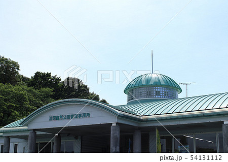 紫陽花 涸沼自然公園 茨城県茨城町 紫陽花 涸沼自然公園 茨城県茨城町 54131112
