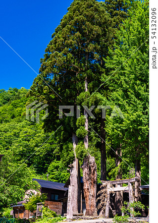 (富山県)相倉合掌造り集落 地主神社 (富山県)相倉合掌造り集落 地主神社 54132096