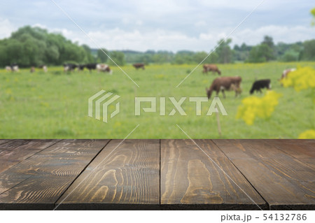 Empty wooden tabletop and blurred rural background of cows on green field. Display for your product. 54132786
