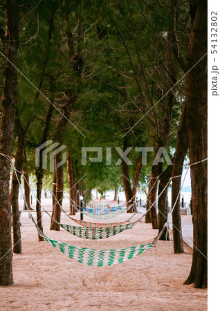 Colourful hammocks hanging on pine tree on beach 54132802