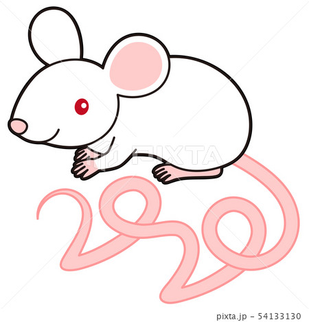 しっぽの形が2020になっているねずみ イラスト mouse 2020 しっぽの形が2020になっているねずみ イラスト mouse 2020 54133130