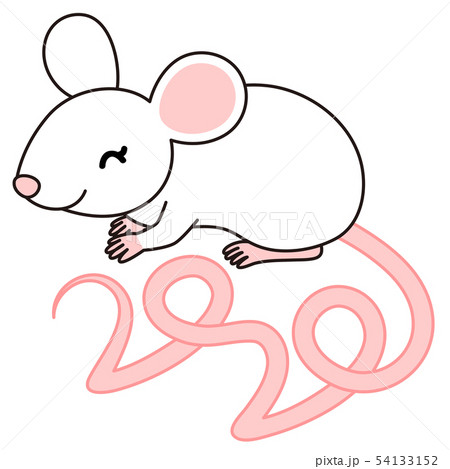しっぽの形がになっているねずみ イラスト Mouse のイラスト素材