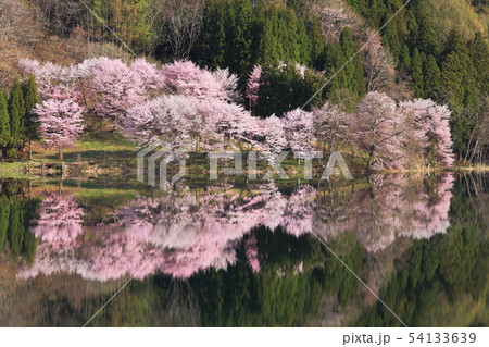 中綱湖の春 中綱湖の春 54133639