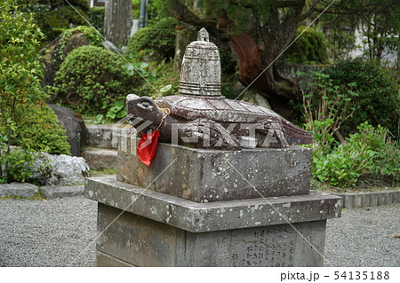 【四国八十八ヶ所】第三十九番 延光寺 伝説の亀の像 高知県宿毛市 【四国八十八ヶ所】第三十九番 延光寺 伝説の亀の像 高知県宿毛市 54135188