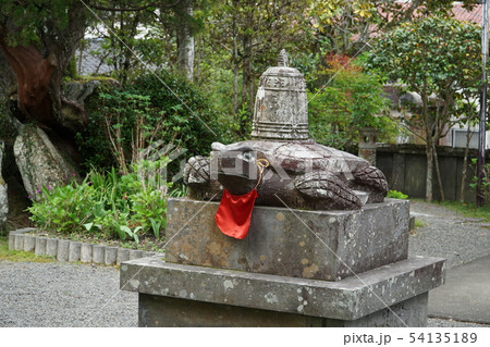 【四国八十八ヶ所】第三十九番　延光寺の伝説のウミガメの像　高知県宿毛市 54135189