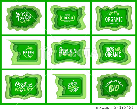 Natural Food Logotypes with Plant Leaves Flora 54135459