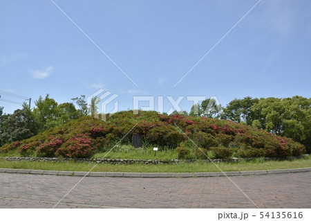 【大阪府 堺市】世界遺産・百舌鳥古墳群の七観音古墳 【大阪府 堺市】世界遺産・百舌鳥古墳群の七観音古墳 54135616