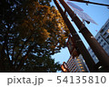 標識 54135810