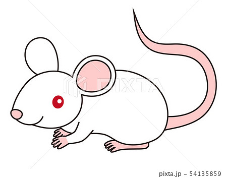 シンプルで程よくリアルなタッチのネズミのイラストのイラスト素材