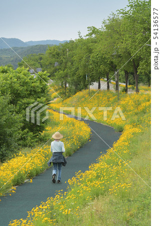 グムギェグク 一本道 小道 54136577