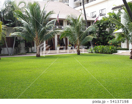 Halekulani　Hotel　ハレクラニ　ホテル　Hawaii　ハワイ 54137198