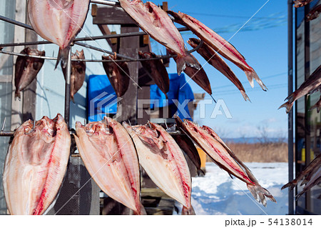 ホッケの一夜干しを作っている風景 / 北海道 むかわ町 54138014