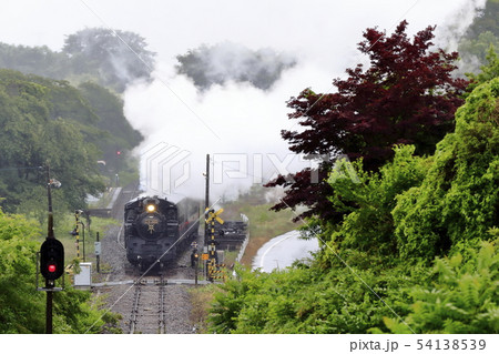新緑の真岡鉄道SL 54138539