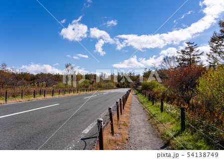 栃木県日光市 戦場ヶ原 国道120号 (10月) 日本ロマンチック街道 栃木県日光市 戦場ヶ原 国道120号 (10月) 日本ロマンチック街道 54138749