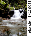 源流 54139063