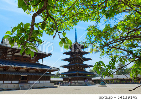 法隆寺　五重塔　金堂　梅の木 54139145