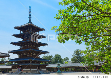 法隆寺　五重塔　梅の木 54139146