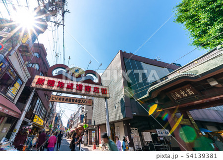 日本の東京都市景観 太陽光に映える巣鴨地蔵通商店街や高岩寺(とげぬき地蔵尊)などを望む 日本の東京都市景観 太陽光に映える巣鴨地蔵通商店街や高岩寺(とげぬき地蔵尊)などを望む 54139381