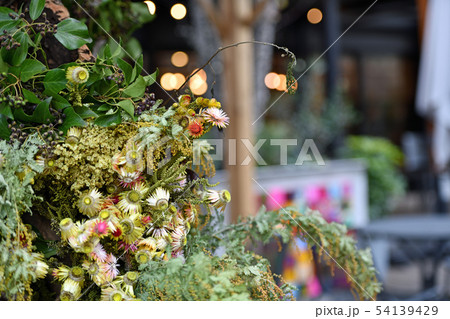 街風景 天王洲アイル 街風景 天王洲アイル 54139429