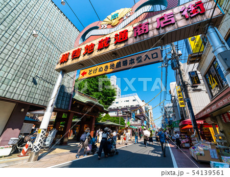 日本の東京都市景観　巣鴨地蔵通商店街や高岩寺（とげぬき地蔵尊）などを望む 54139561