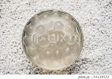 タピオカパール　Tapioca Pearl and Tapioca Bubble 54139572