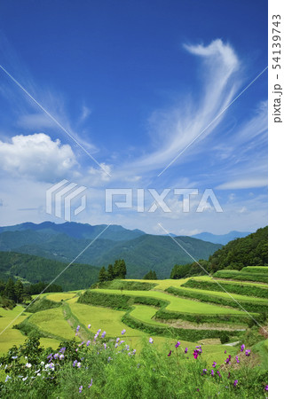 土佐柴刈りの里　 54139743