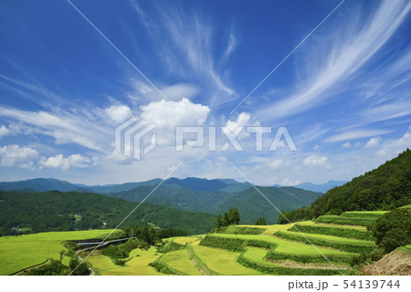 色づく天空の棚田の写真素材