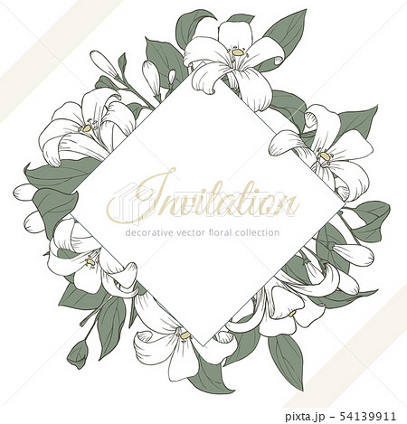 Hand drawn Orange Jessamine flowers with leaves 54139911