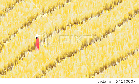 Girl walking in ripe rice field farm 54140007