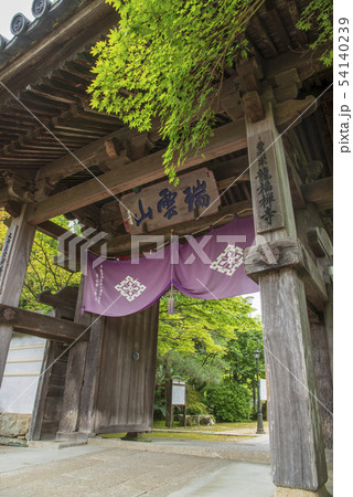 龍福寺 龍福寺 54140239