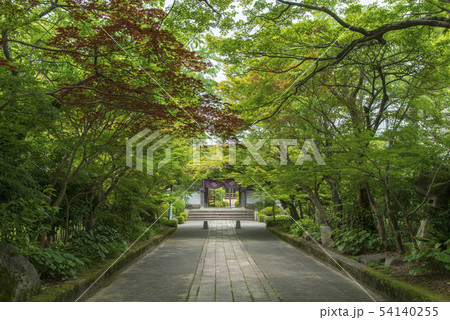 龍福寺 龍福寺 54140255