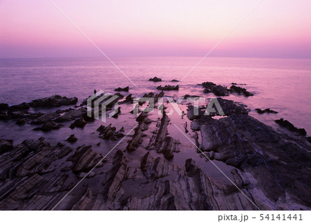夕暮れの荒崎海岸 54141441