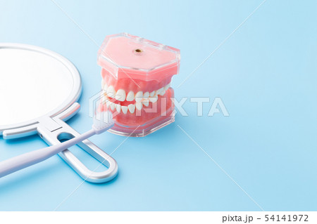 デンタルケア 54141972