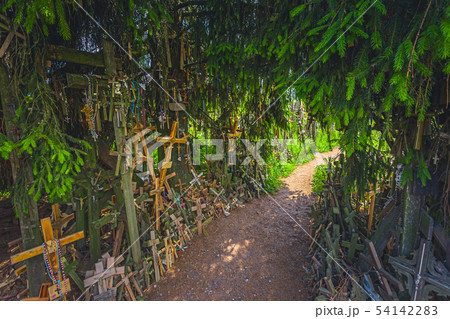 Landscape of Hill of crosses, Kryziu kalnas, Lithuania Landscape of Hill of crosses, Kryziu kalnas, Lithuania 54142283