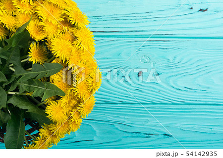 Basket with yellow dandelion flower Basket with yellow dandelion flower 54142935