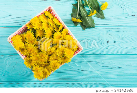 Basket with yellow dandelion flower 54142936