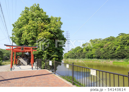 大阪・御廟山古墳(百舌鳥御廟山古墳)と永尾大神 大阪・御廟山古墳(百舌鳥御廟山古墳)と永尾大神 54143614